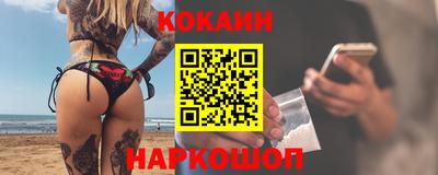 гашик Сланцы