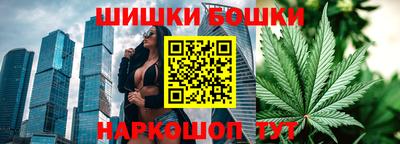 гашик Сланцы